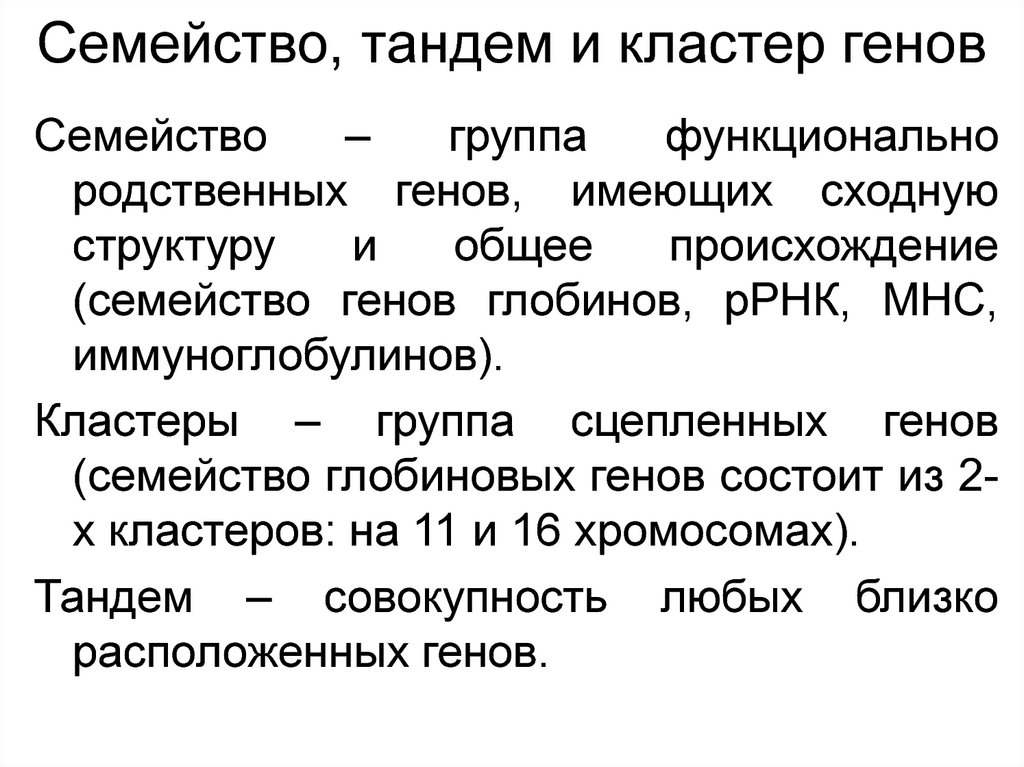 Гене семью. Семейство и кластер генов. Генные семейства. Кластеры генов примеры. Примеры семейства генов.