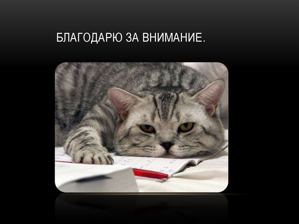 Благодарю за внимание.