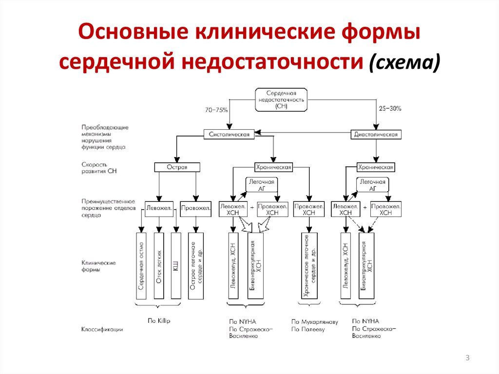 Сердечная недостаточность схема