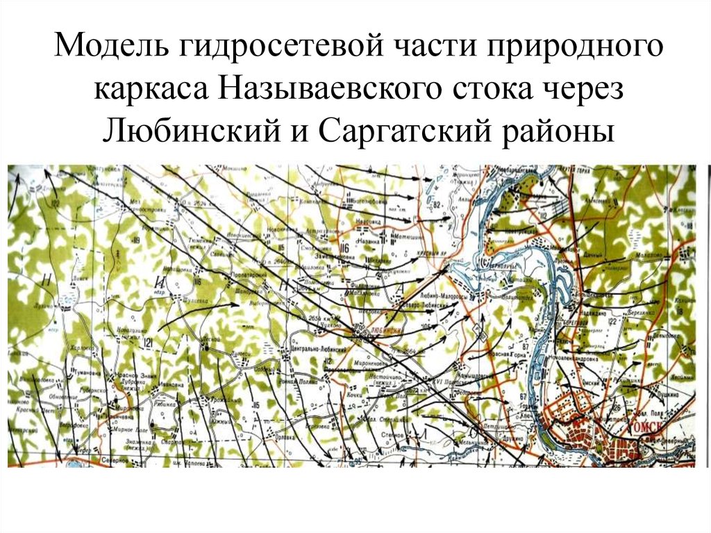 Модель гидросетевой части природного каркаса Называевского стока через Любинский и Саргатский районы