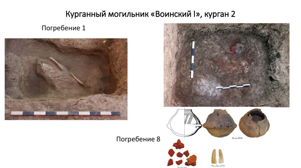 Курганный могильник. Могильник Курганный первый. Курганный могильник схема.