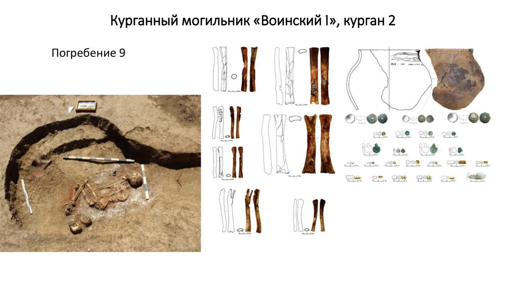 Описание могильника. Могильник Курганный первый. Власовский могильник.