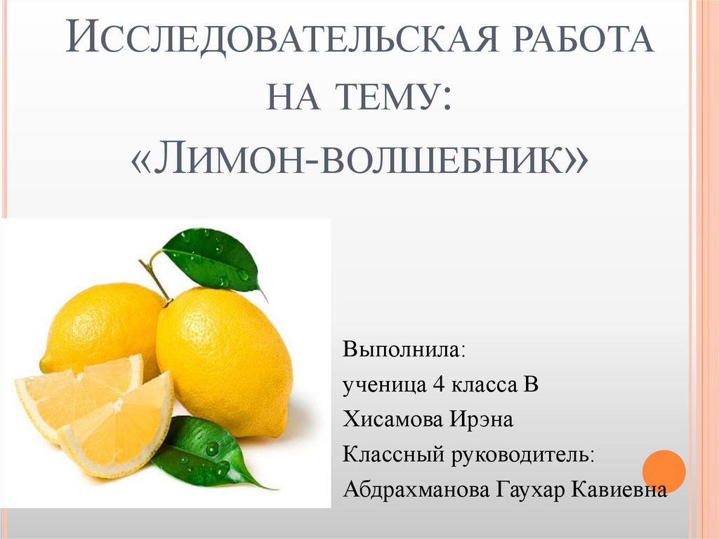 Зачем лимон. Презентация на тему лимон. Презентация исследовательской работы про лимон. Исследовательский проект лимон волшебник. Полезный лимон исследовательская работа.