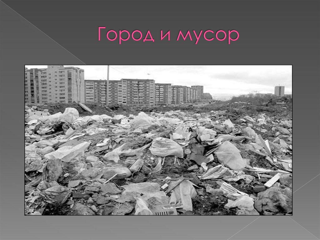Город и мусор