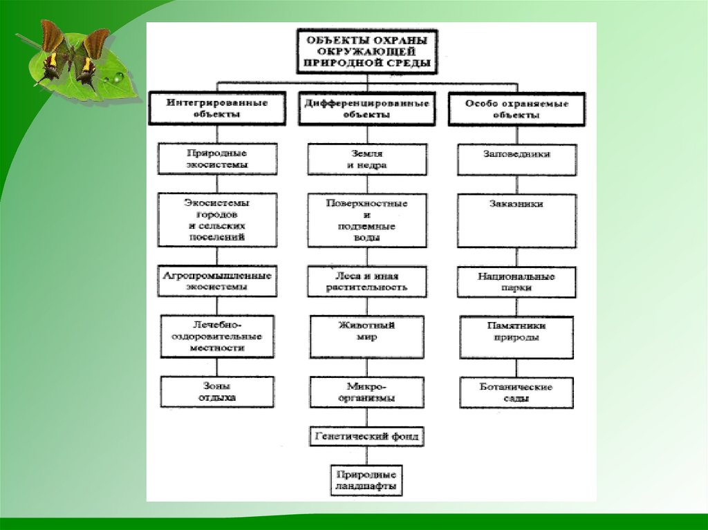 Объекты охраны окружающей природной среды. Природные объекты, подлежащие охране,. Объекты природы подлежащие особой охране. Последовательность подлежащих охране объектов. Объекты подлежащие особой охране в экологии.