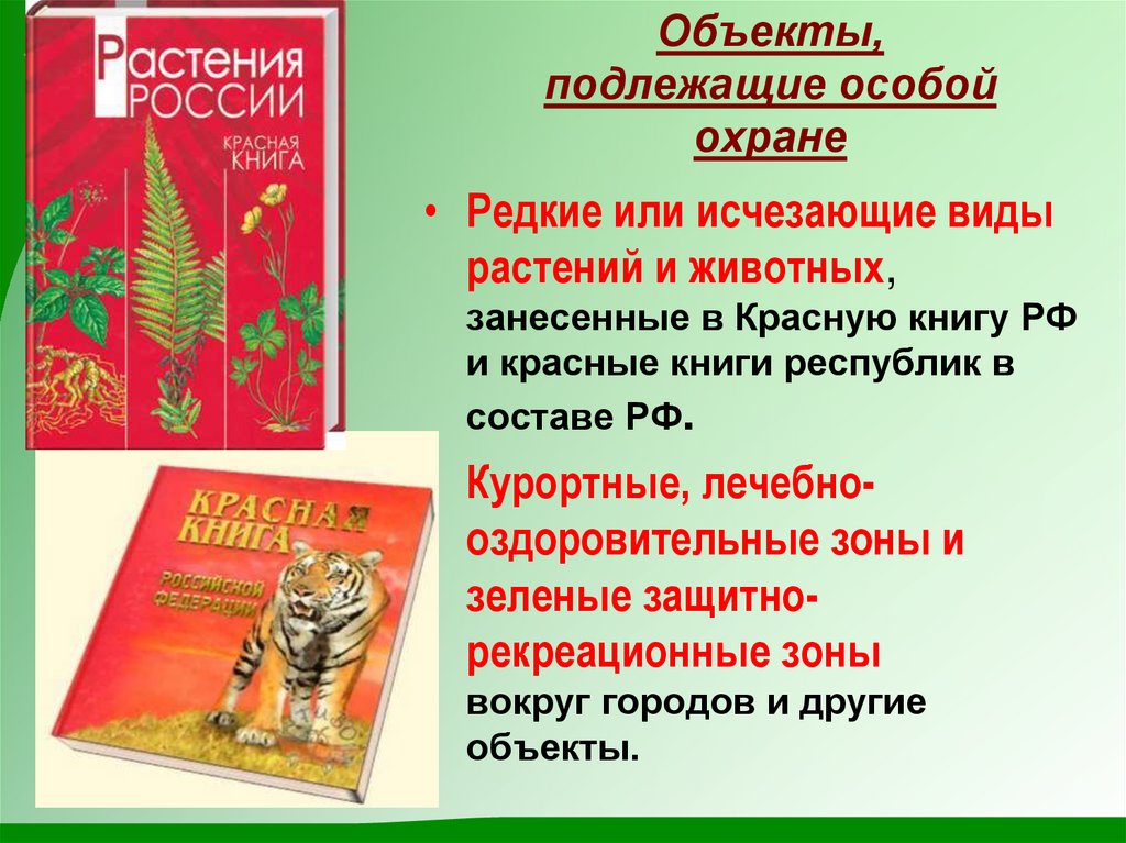 Планирование красная книга