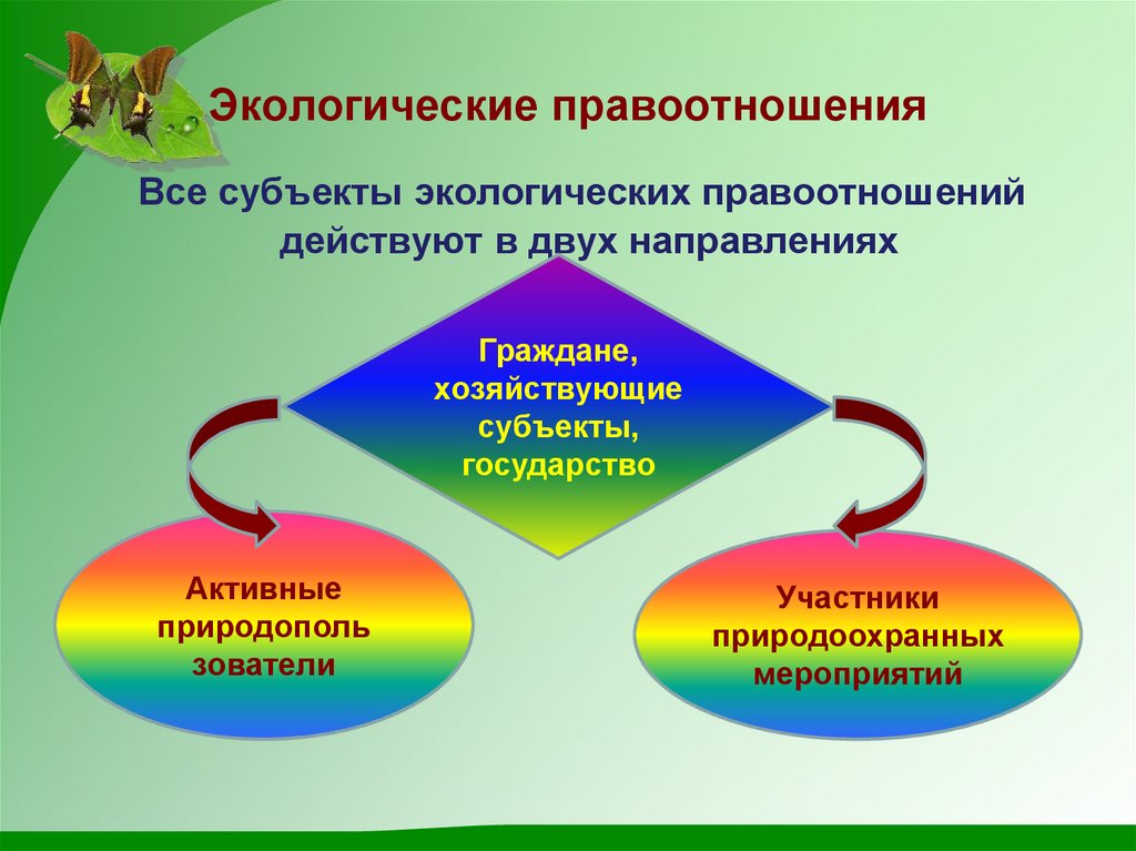 Экологическое право 11 класс презентация боголюбов