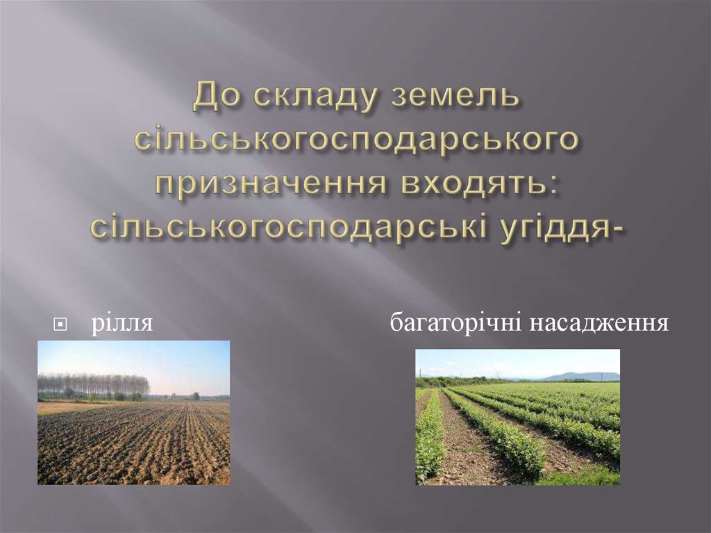 До складу земель сільськогосподарського призначення входять: сільськогосподарські угіддя-