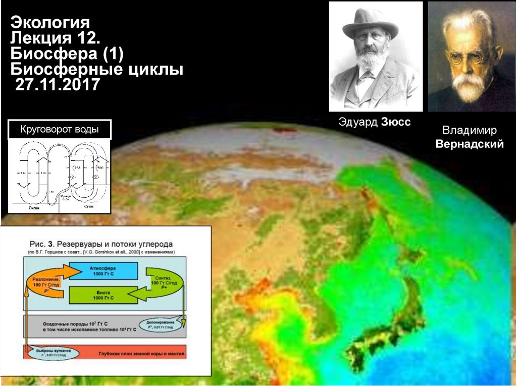 Биосфера 1. Биосферные циклы. Человек, Биосфера и космические циклы. Космические циклы презентация.