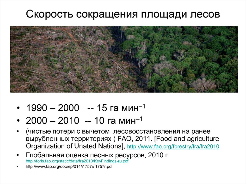 Площадь лесного. Сокращение площади тропических лесов. Сокращение прощчди лесом. Сокращение площади лесов. Уменьшение площади лесов.