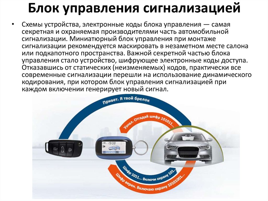 Сработала сигнализация на машине проверяют воры