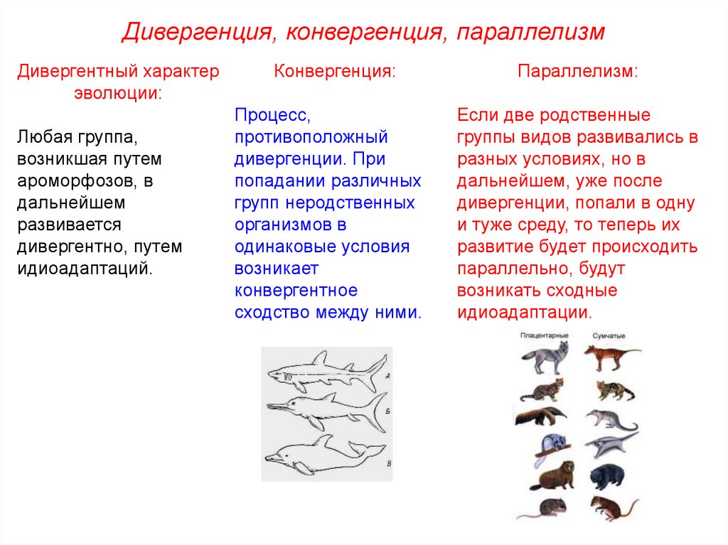 Пользуясь рисунком определите способ изоляции который привел к появлению трех родственных подвидов