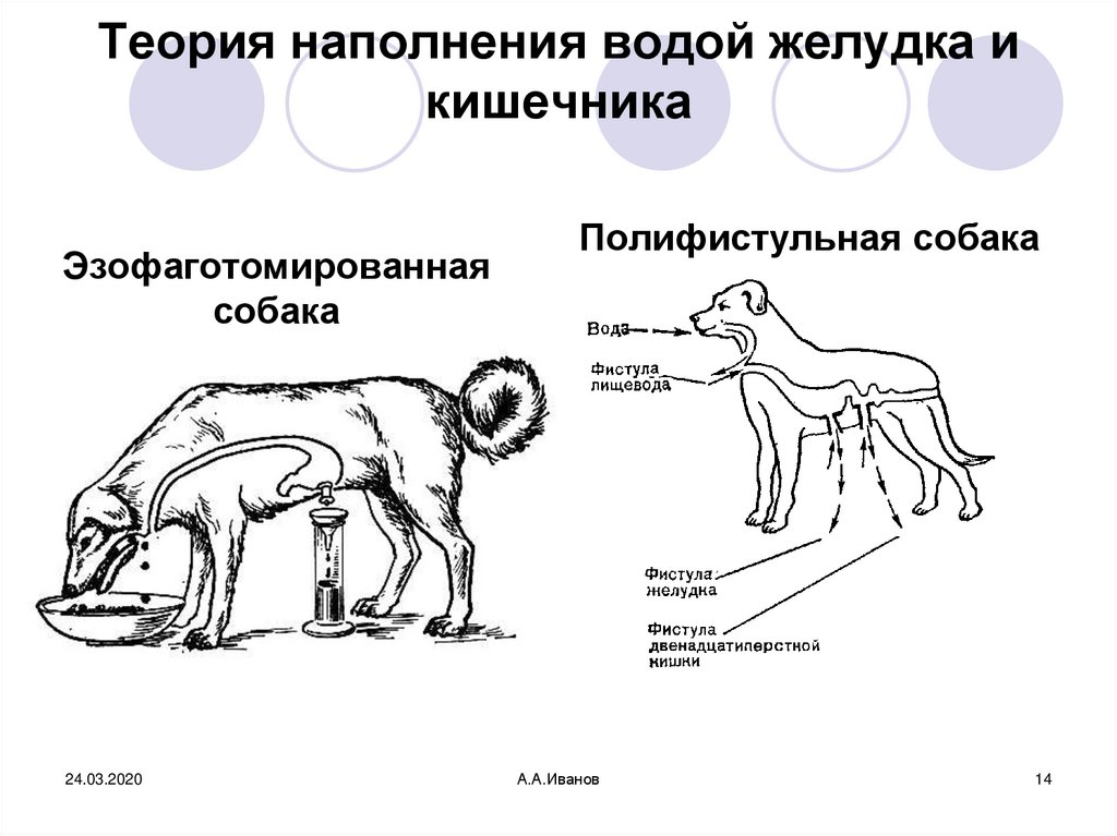 Внутренние причины поведения