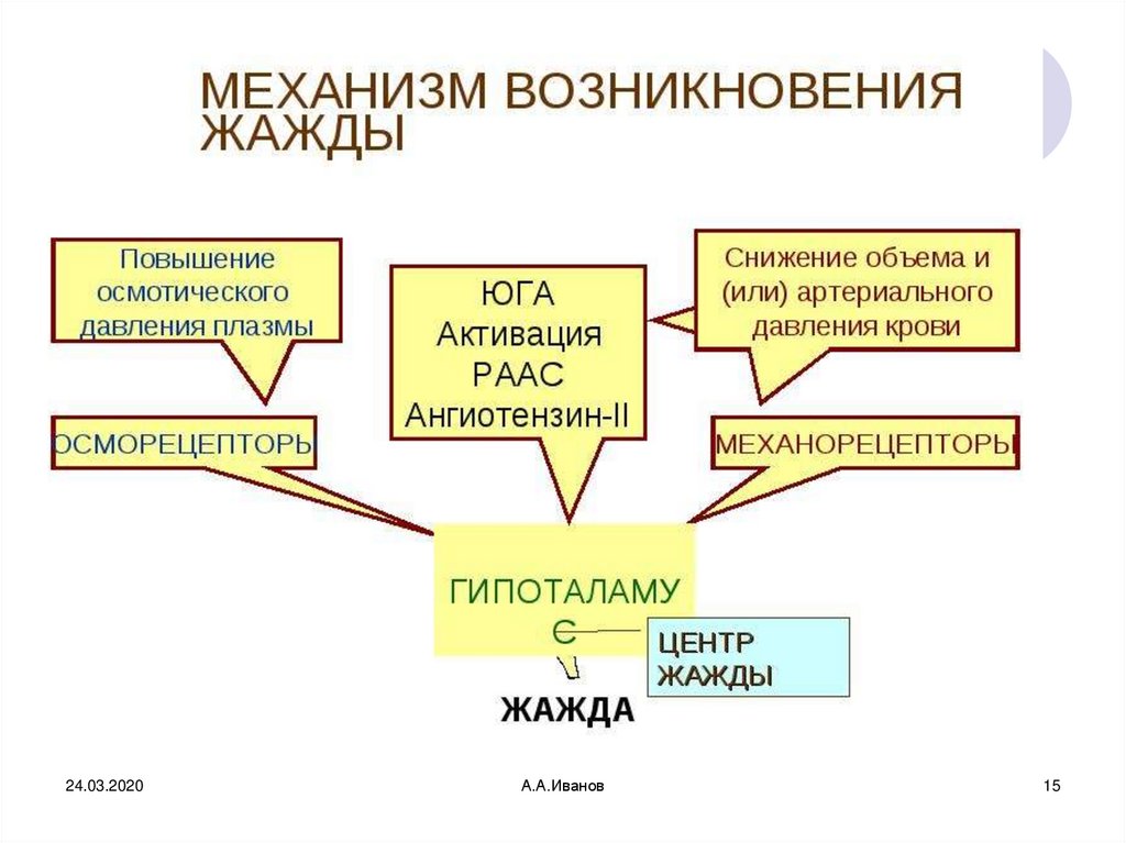 Механизмах появления и развития. Механизм возникновения жажды. Физиологические механизмы жажды. Схема процессов возникновения жажды. Отметьте «внутренние» причины появления проекта:.