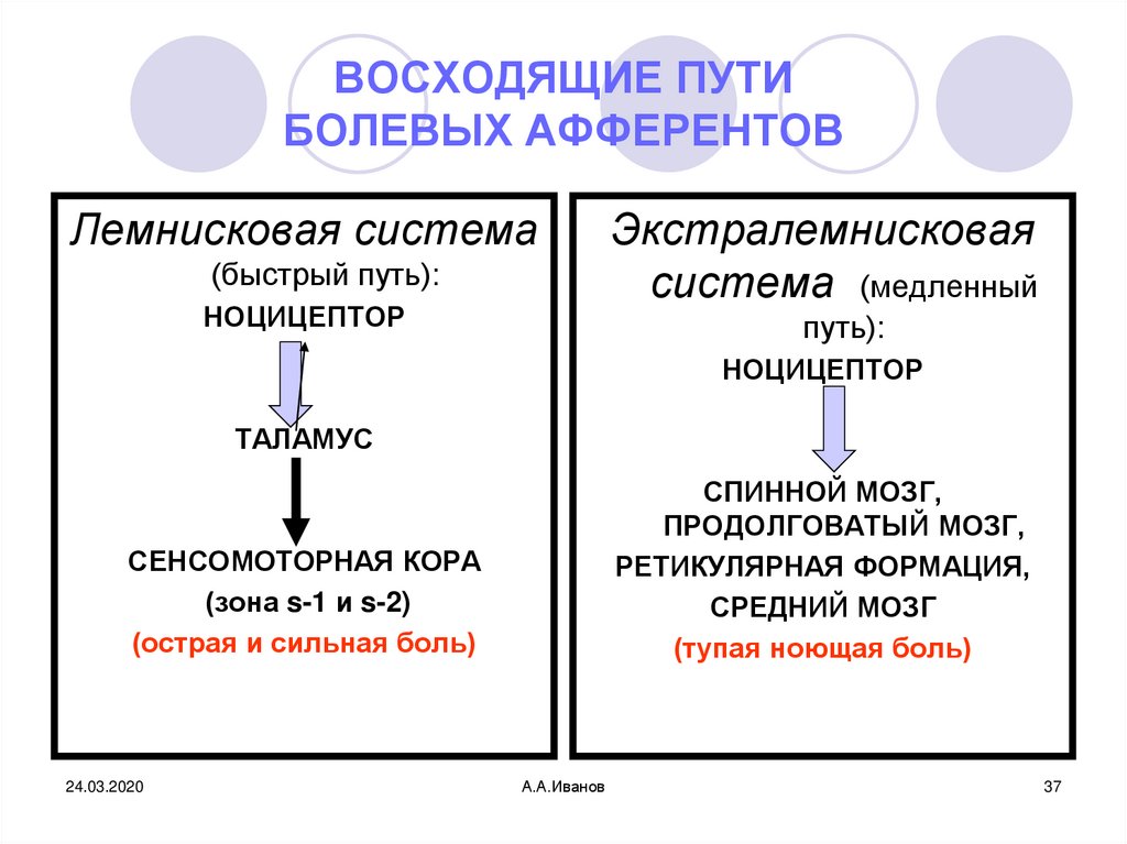 Причина внутренних перемен элизы