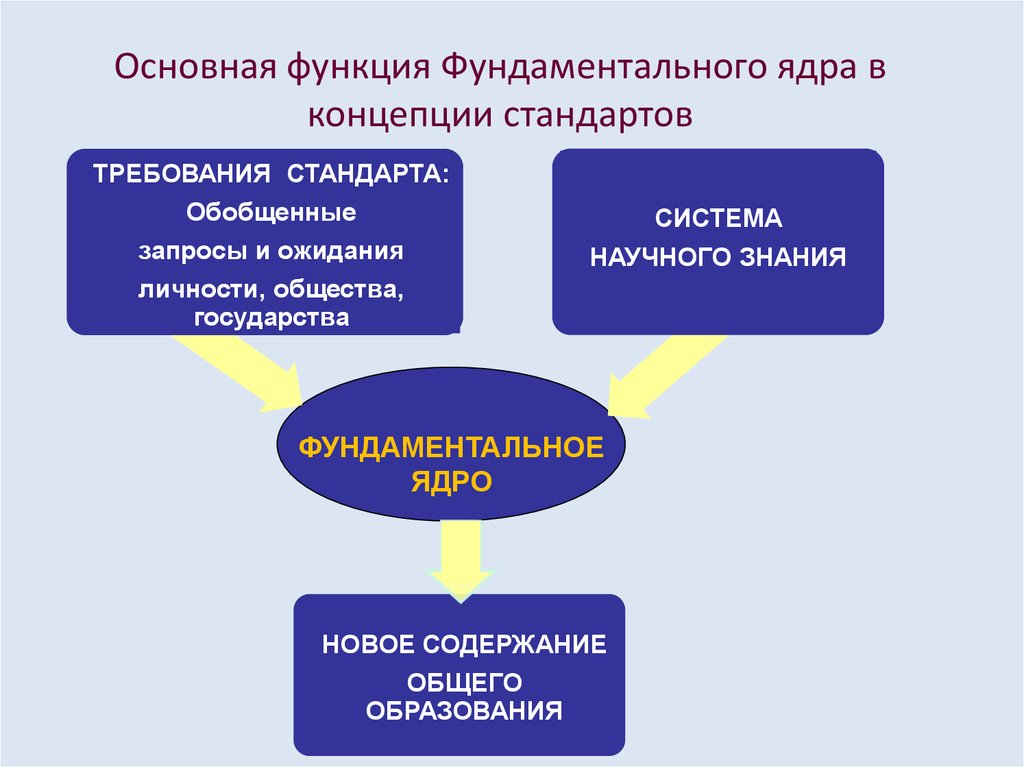 Проблема стандарта в образовании. Фундаментальная функция. Фундаментальность функции. Функция фундаментальная когда. Фундаментальное ядро цель.