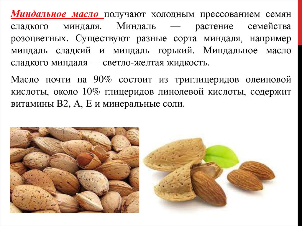 Как отличить горький. Орехи миндаль полезные. Полезные вещества в миндале. Миндальные орехи повышают давление. Сорта миндаля.