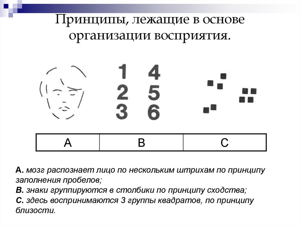 Принципы лежащие. Принципы лежащие в основе организации восприятия. Принципы организации восприятия в психологии. Принцип заполнения пробелов. Принцип сходства восприятия.