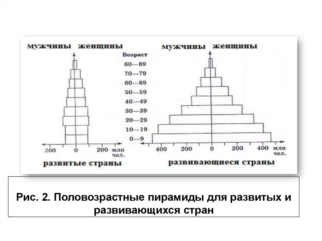 Половозрастная пирамида практическая работа 8 класс. Возрастная пирамида. Половозрастные пирамиды развитых и развивающихся стран. Возрастная пирамида популяции. Виды половозрастных пирамид.