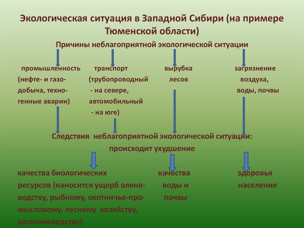 Экологическое состояние одного из регионов россии презентация 8 класс