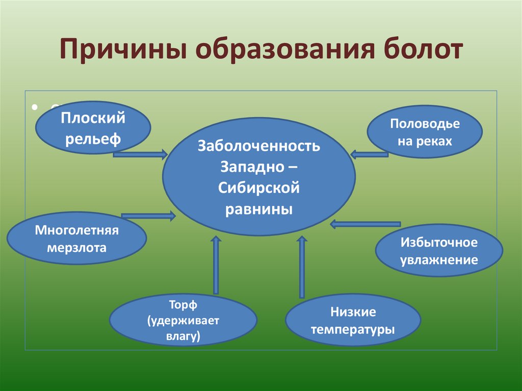 Образование болот схема