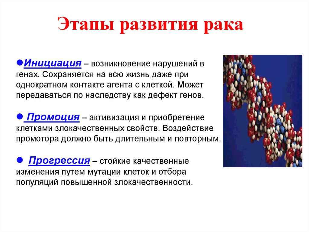 Как развивается рак. Стадидии развития река. Этапы развития ЗНО. Стадии развития онкологии. Этапы возникновения онкологии.