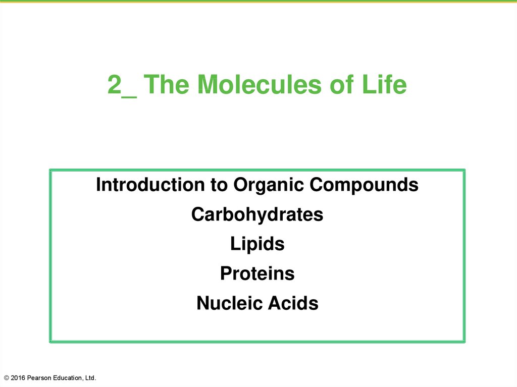 2_ The Molecules of Life