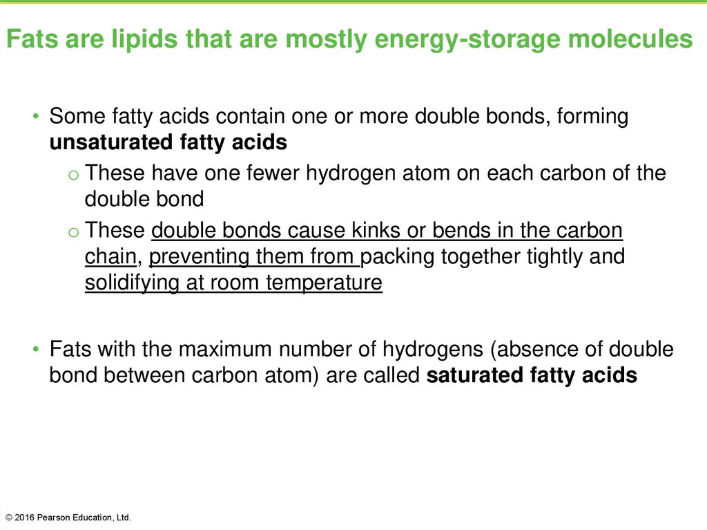Fats are lipids that are mostly energy-storage molecules