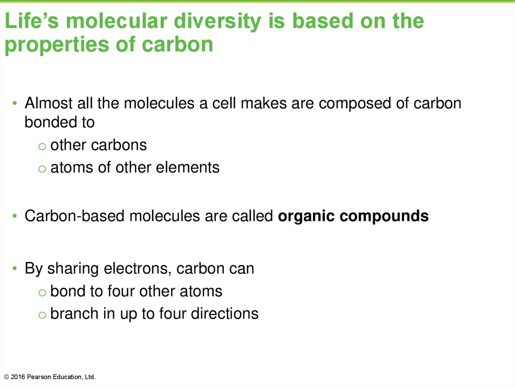 Life’s molecular diversity is based on the properties of carbon