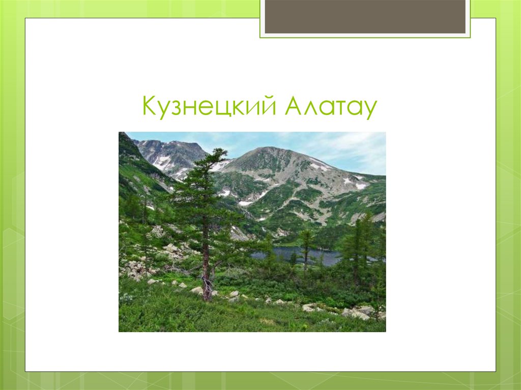 Кузнецкий Алатау преобладающие высоты. Проект Кузнецкий Алатау на 20 слайдов. Кузнецкий Алатау герб. Кузнецкий Алатау классный час с презентация.