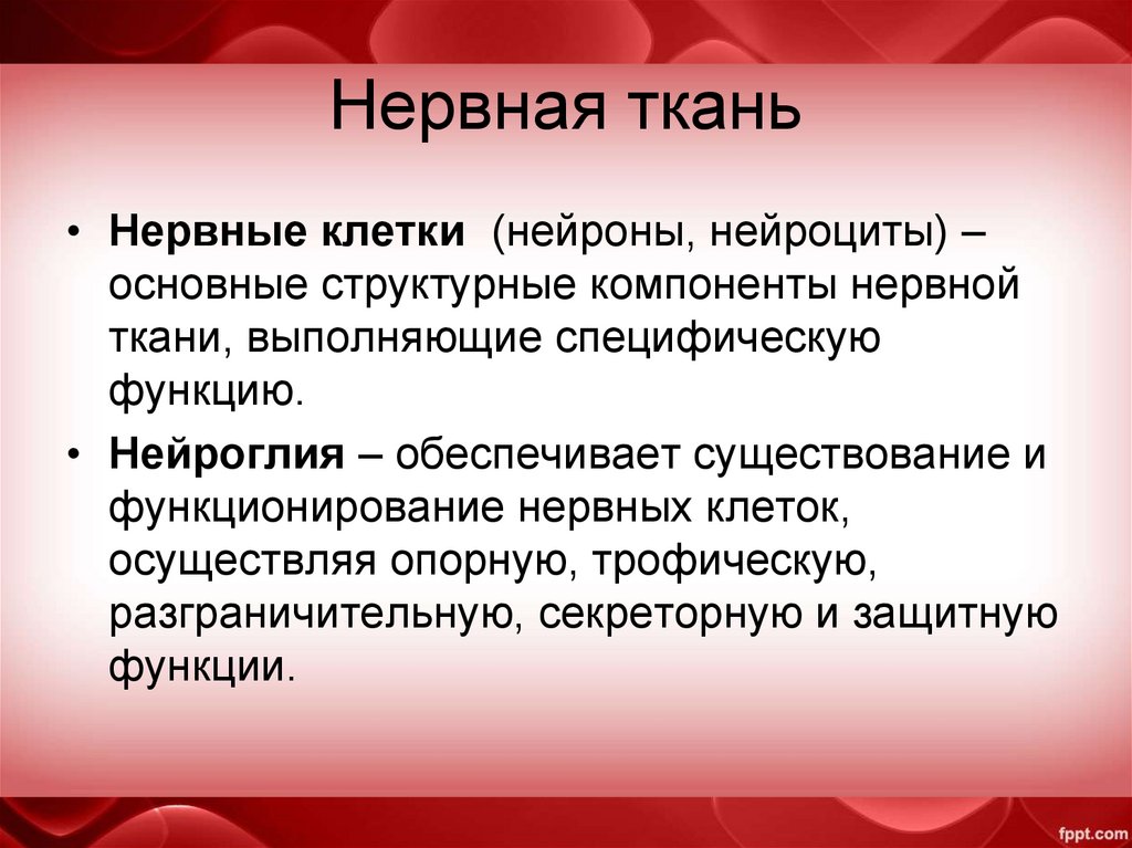 Комплекс тканей выполняющие определенные специфические функции. Нейроциты функции.