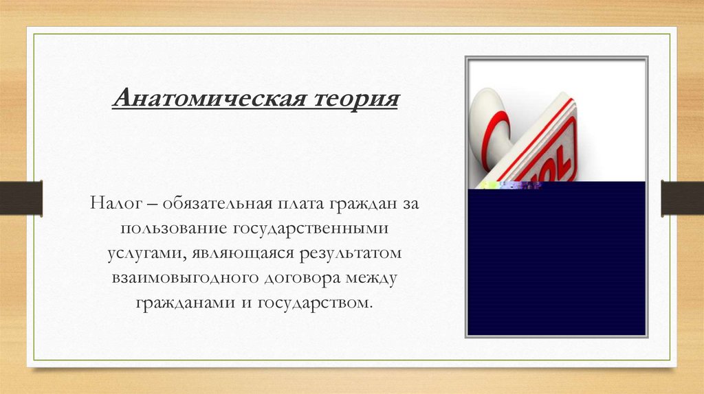 Анатомическая теория