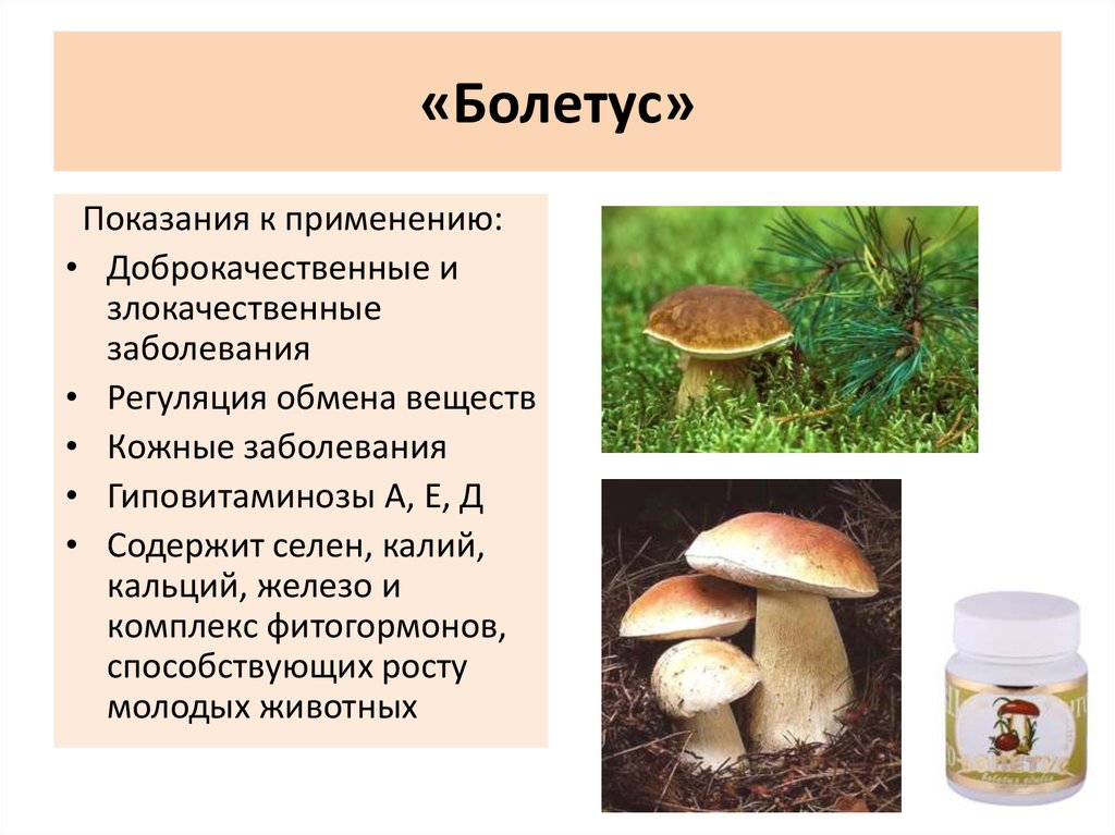 Какие лекарства из грибов