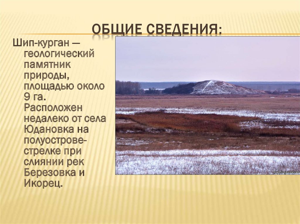 Общие сведения: