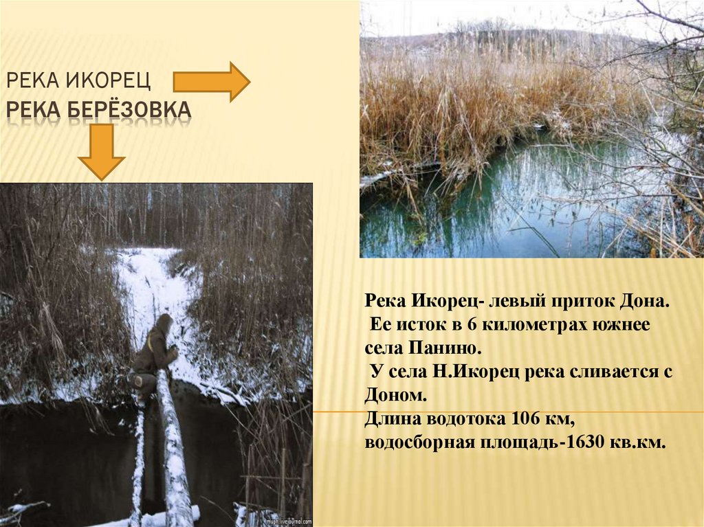 Река Берёзовка