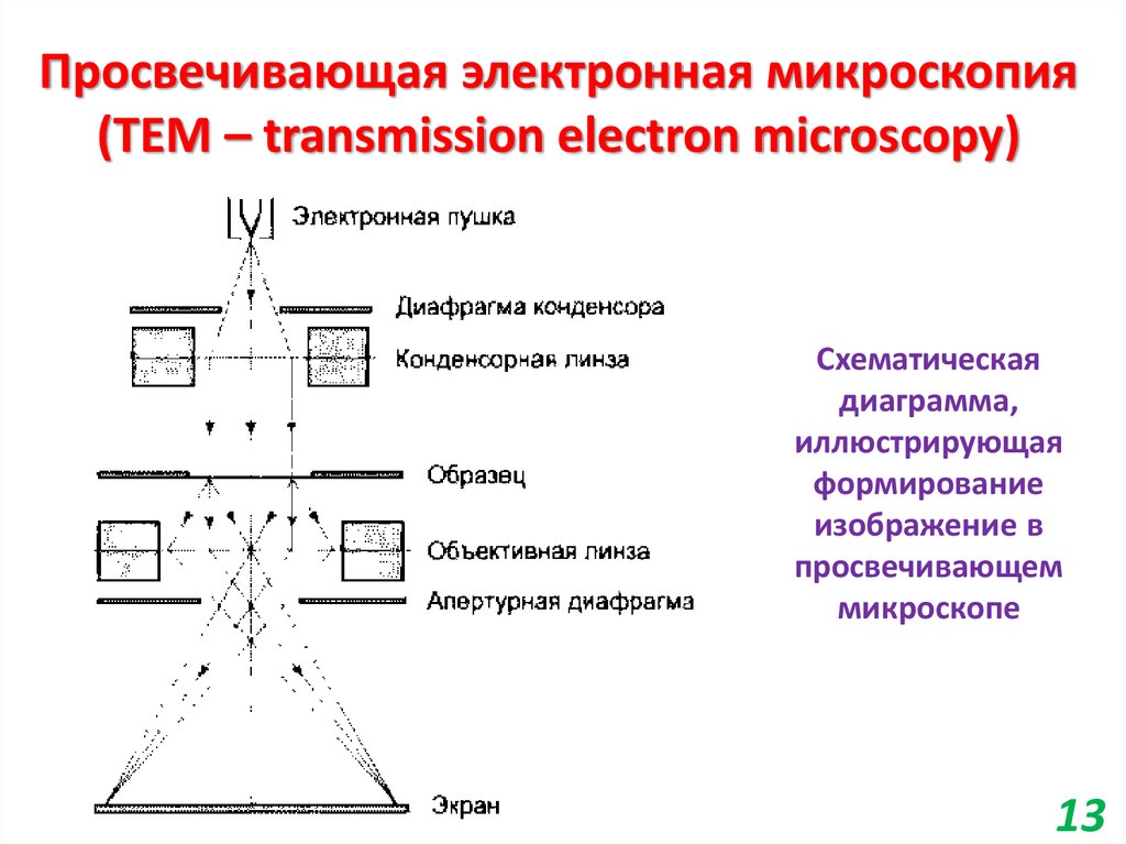 Просвечивающая электронная микроскопия (TEM – transmission electron microscopy)