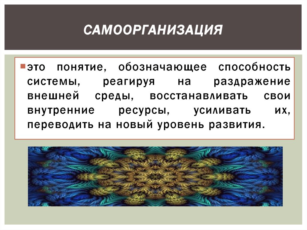 Самоорганизация это. Самоорганизация. Самоорганизация это в философии. Самоорганизация в биологии. Самоорганизация в литературе.