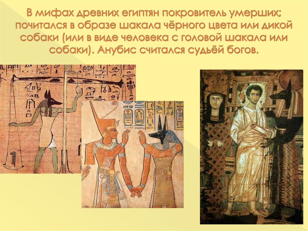 В мифах древних египтян покровитель умерших; почитался в образе шакала чёрного цвета или дикой собаки (или в виде человека с