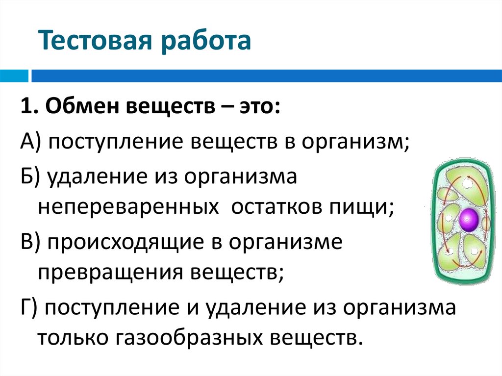 Поступление веществ в организм. Накопление продуктов обмена ВВ. Удалить продукты обмена из тканей.