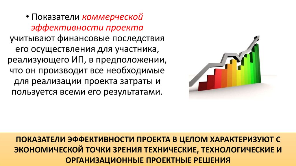 Оценка жизнеспособности и финансовой реализуемости проекта