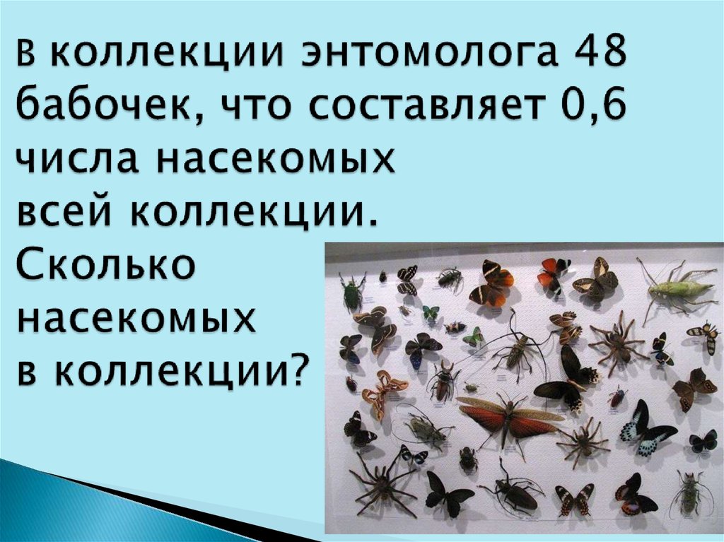 Число насекомых. Сколько насекомых. Сколько насекомых в мире. Насекомые число и количество. Числа на насекомых.