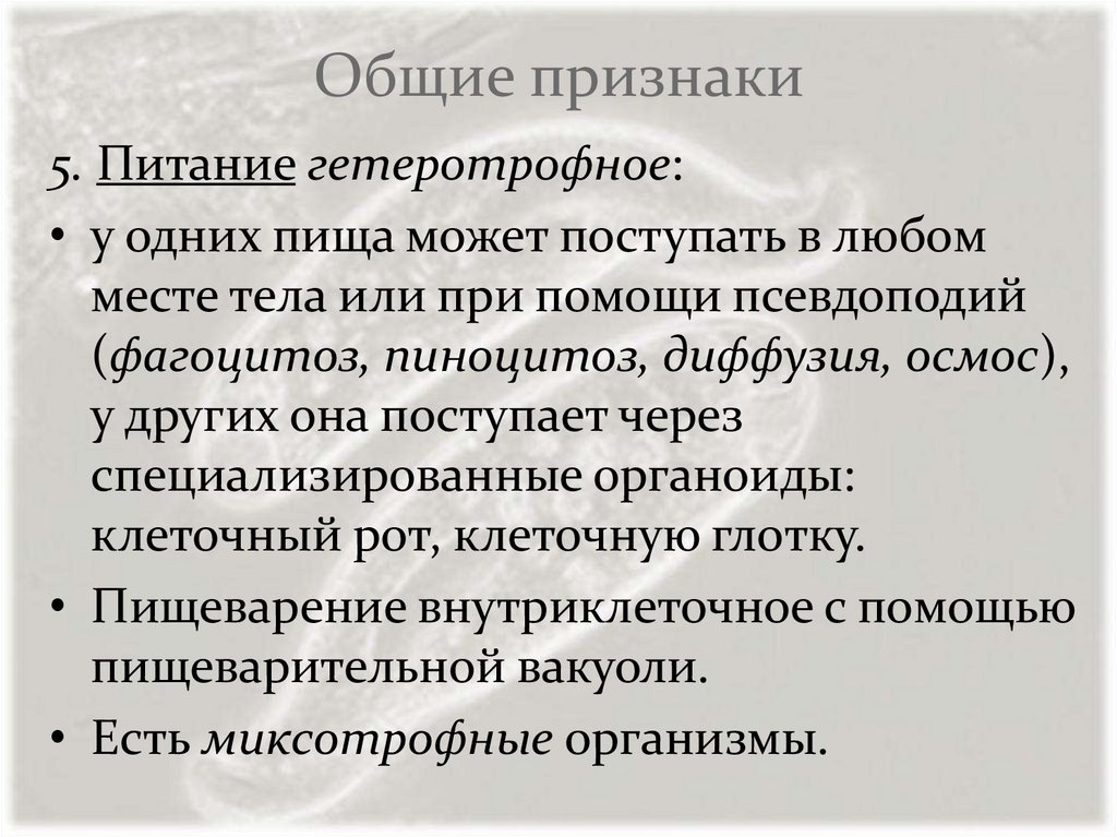 Признаки питания. Признаки гетеротрофного питания. Общие признаки him.