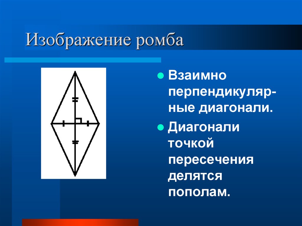 Диагонали ромба делятся пополам