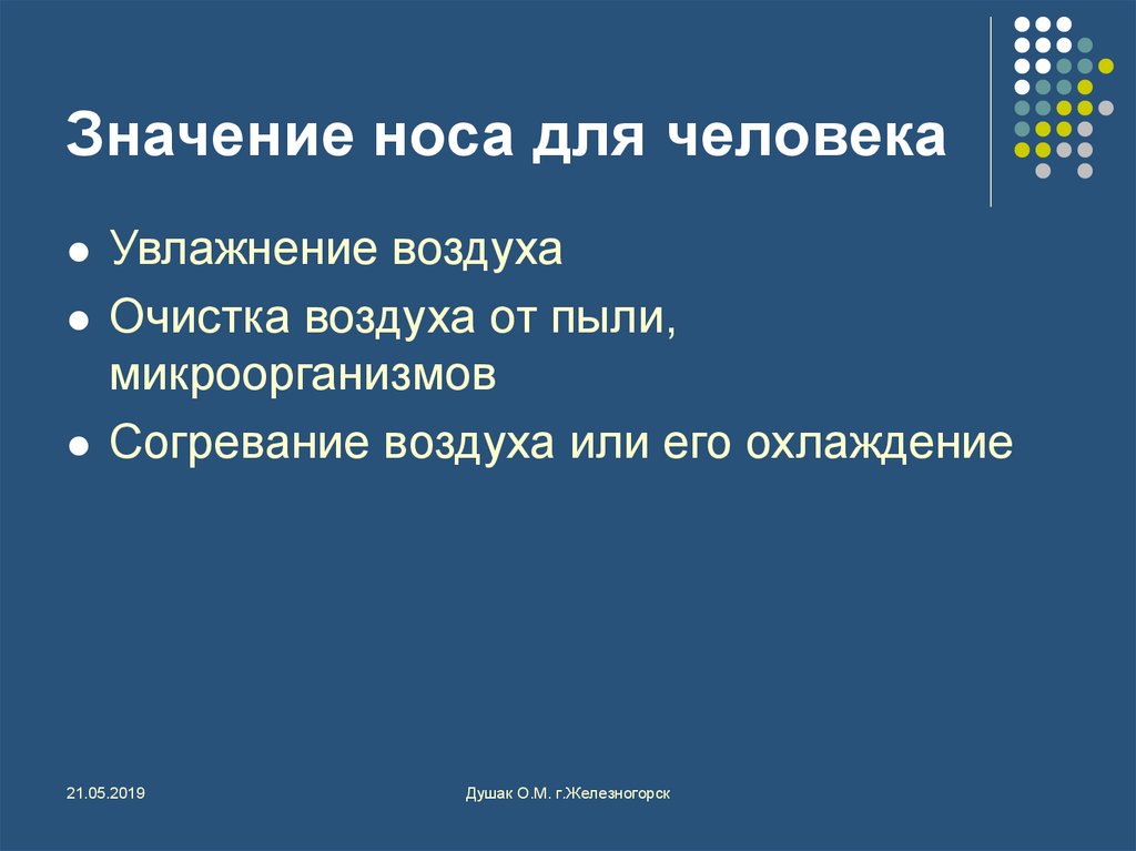 Смысл носа. Значение носа. Значение носа для жизни человека 4 класс. Значение носа в жизни человека. Значение носа для человека.