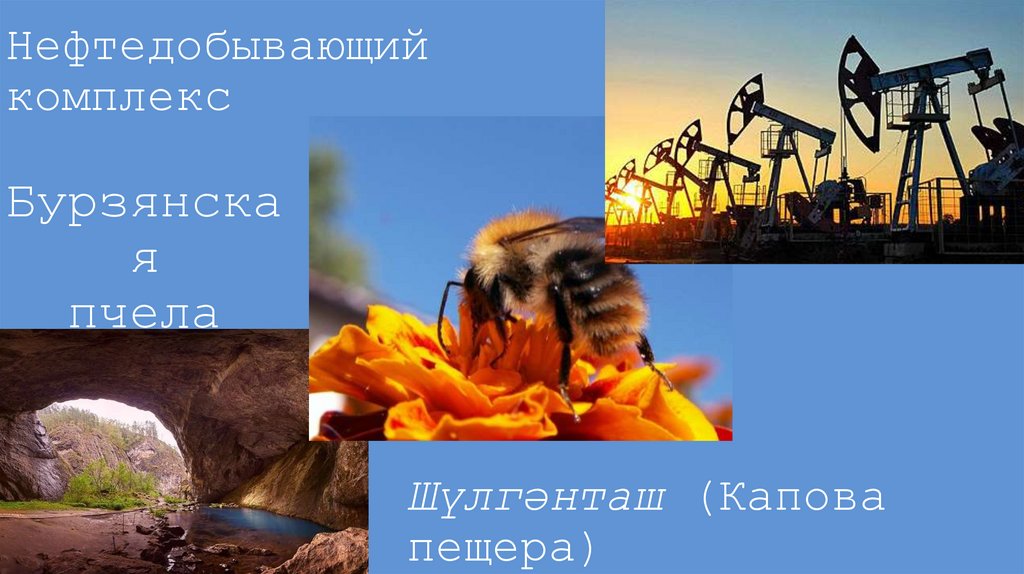 Нефтедобывающий комплекс