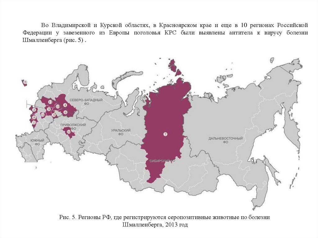 Работа регион. Эпизоотическая карта России. Эпизоотическая ситуация в Российской Федерации. Информация об эпизоотической ситуации в Российской Федерации. Заболевания в Красноярском крае.