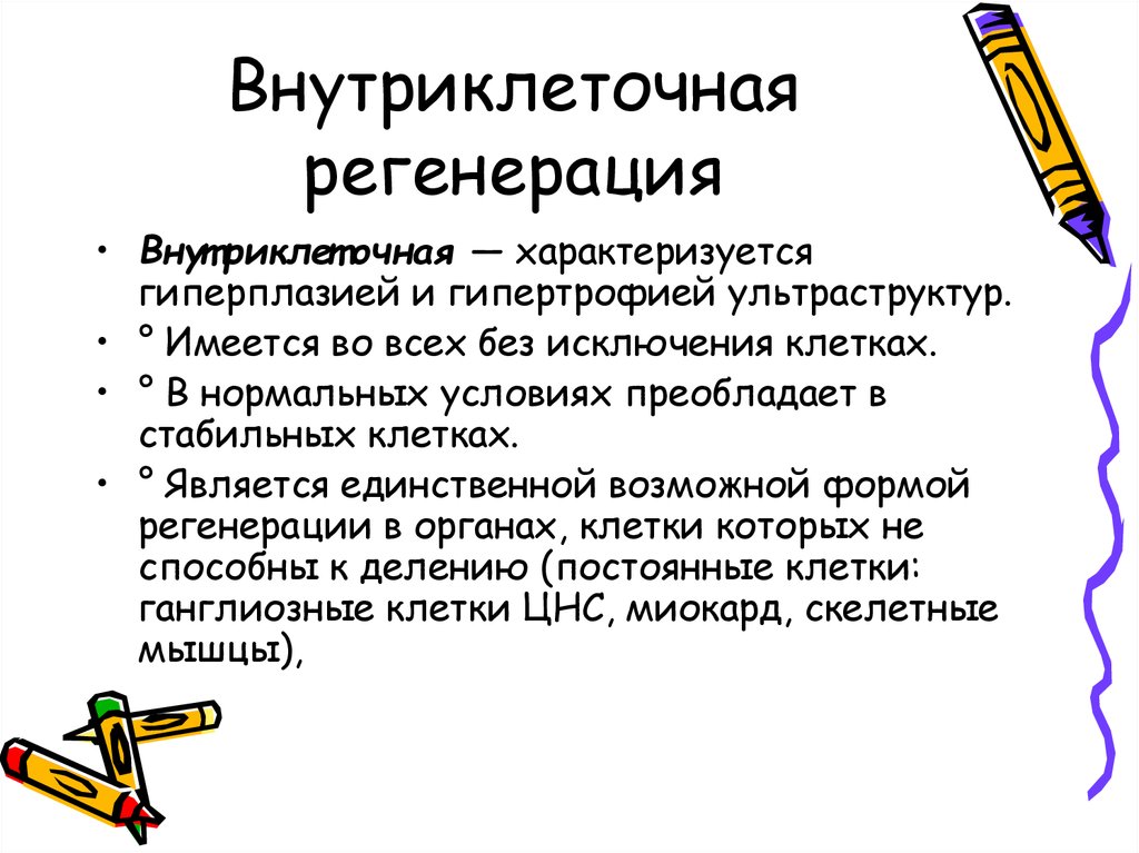 Регенерация это. Внутриклеточная регенерация. Внутриклеточная регене. Внутриклеточная форма регенерации. Роль внутриклеточной регенерации.