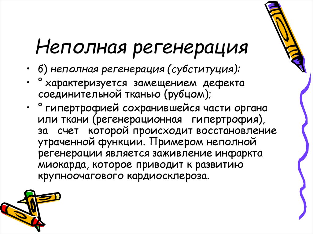 Регенерация. Неполная регенерация. Полная и неполная регенерация. Неполная репаративная регенерация. Неполная репаративная регенерация (субституция).