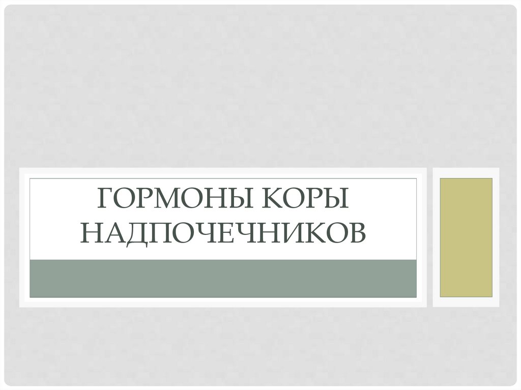 Протобионты. Эволюция протобионтов. Эволюция протобионтов презентация 10 класс. Эволюция протобионтов 10 класс биология. Эволюция протобионтов кратко.