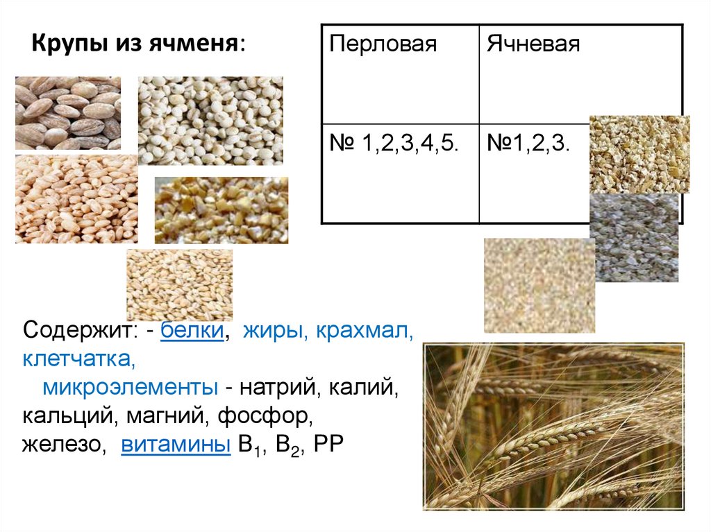 Презентация зерномучные товары